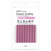 인벳 프리미엄 덴탈 스케일링껌 유산균스틱 100g, 1개, 단품