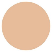캔메이크 컨실러 컬러 스틱 모이스 트러스트 커버 6종, -개, 자연 베이지