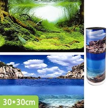 백스크린 양면 30X30cm 수족관배경 어항배경 C606130