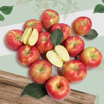 [새벽이슬사과] 가을 상시 수확하는 빨간 사과 가정용 3kg ~ 9kg, 01 가정용 빨간사과 5kg 소과(29-38), 1개