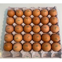 [10판] 신선하고 안전한 농장직송 계란 - 식당 및 베이커리 배달(김포 검단 청라 서울), 대란