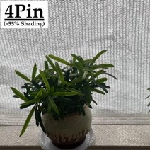 그늘막 40 55 차광 흰색 HDPE 자외선 방지 차양 그물 전망대 쉼터 야외 농업 정원 다육 식물 커버, 4Pin White+4mx4m, 4Pin White+4mx4m