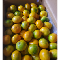 새콤달콤 제주 서귀포 하우스 감귤 2kg 5kg 고당도 제주감귤 제주감귤 귤 밀감 과일 감귤 귤10kg 제주도귤5kg 감귤주스 제주도귤 제주밀감5kg, 2kg (15-40과)