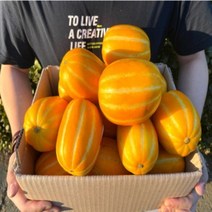 성주 못난이 참외 산지직송 2kg 2.5kg 3kg 5kg, 1.5kg(혼합)