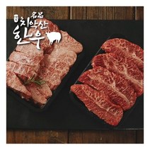 [치악산한우]청정한우 투뿔 NO9 특수부위 선물세트 2호 1kg