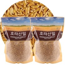 호라산밀 2Kg