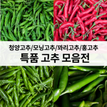 꼭지네 고추 청양 꽈리 모닝 홍고추 1kg 3kg 5kg 10kg, 모닝고추