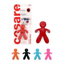 미스터앤미세스 체사레 블리스터 차량용 방향제, 체사레블리스터 바닐라, 1개