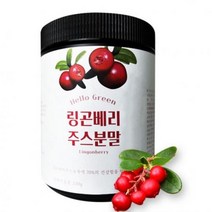 헬로우그린 핀란드산 링곤 베리 퓨레 주스 분말 230g(통), 단품, 단품