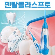 쿨링샷 덴탈플라스프로 워터치실 물치실 칫솔 2세트, 워터치실 덴탈플라스 프로2세트