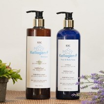 천연발효 켈라겐 F 샴푸와 페이스 바디솝 500ml 천연 다시마 콜라겐샴푸 액체비누, 샴푸