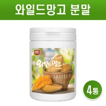 와일드망고 씨앗 가루 와일드 망고 종자 분말 아프리카 야생 망고 추출물 파우더 차 추출분말 100프로 렙틴 아디포넥틴 미국산, 4개, 200g