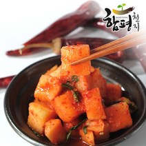 [함평천지] 함평나비골 남도식 깍두기 5kg /, 1개