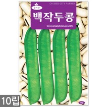 서리태 씨앗 30g - 콩 씨 청약콩 검은콩 쥐눈이콩 서리태씨앗 콩 검정콩씨앗 검은콩씨앗 콩씨앗 서리태씨 검은콩씨 주말농장 텃밭, 18_백작두콩(10립)