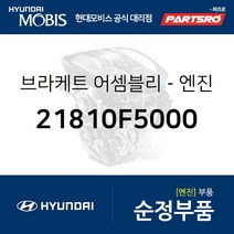 아슬란 엔진미미(엔진 마운팅 브라켓) (21810F5000)