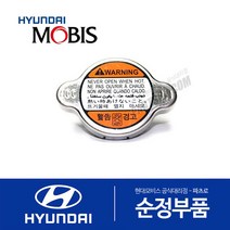 NF쏘나타 순정 라디에이터 캡 뚜껑 (2004-2006.09)