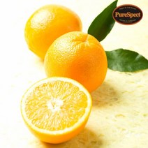 퓨어스펙 오렌지 블랙라벨 중소과 10입, 없음