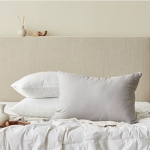 한샘 부드럽고 포근한 구름베개 (화이트/그레이), 화이트(A), 1개
