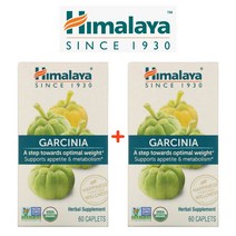 (1+1) 히말라야 가르시니아 캄보지아 HCA Garcinia cambogia 메타볼리즘 60정 2팩