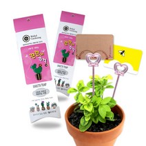 월드가드닝 끈끈이주걱킬 해충박멸 식물해충퇴치, 단품