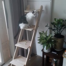 나물요리집 고양이사다리 1200mm 캣스텝 캣타워