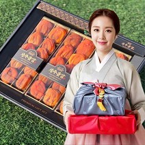 상주 곶감 건시 선물용 세트, 500g