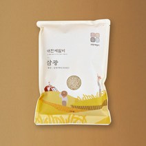 [추석선물] [22년 햅쌀] 삼광쌀 1kg 햅쌀 맛있는쌀 삼광미 백미 대한제일미, 삼광미 1kg
