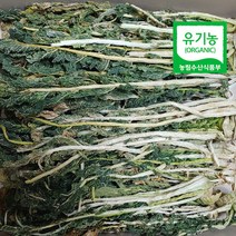 유기농 무청 시래기 철원 건시래기 1kg