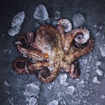 아주부 통영 돌문어 남해안 자연산 문어 700g 1kg 3kg 5kg, 일반 (1~4미) 700g