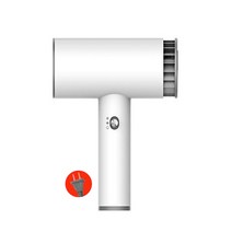 Universal 2in1 AC 220V USB 충전식 핫 및 냉풍 헤어 건조기 건조기 여행 블로우 드라이어 예술 그림 집 야외