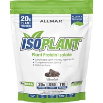 올맥스 아이소플랜트 초콜릿 맛, 300g, 1개