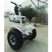 전동 이륜 평행차 왕발통 세그웨이 투휠 두발 전동휠, 36V, 화이트 19인치