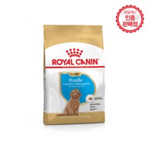 로얄캐닌 강아지 푸들 퍼피1.5kg/아기 푸들 전용사료, 피부/털 개선