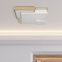 더브라이트 LED 모나 사각 방등/거실등 50W (블랙/골드) 인테리어 조명 천장등, 블랙
