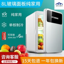 고급 미니 휴대용 차량용 화장품 겸용 인슐린 냉온장고 소형 화장품 냉장고 대용량 실내 차량 냉동고 박스 캠핑 용 무소음 자동차 용 현대, 엘레강스 실버 8L [유리 패널] 기숙사용