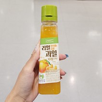 풀무원 한라봉_감귤드레싱 240g x 2개_아이스박스, 아이스박스포장