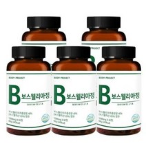 바디프로젝트 프리미엄 인도산 보스웰리아 1000mg x 60정, 2개(4개월분) 120정