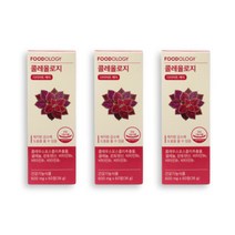 네추럴에프앤피 푸드올로지 콜레올로지 600mg 60정 3박스, 상세페이지 참조, 상세페이지 참조