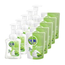 데톨 포밍 핸드워시 애플블로썸 본품 250ml + 리필 200ml, 5개, 450ml