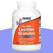 나우 푸드 레시틴 Lecithin 과립 454g(1lb) Non-GMO