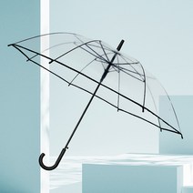 삭스팡 투명 비닐 블랙라인 우산 2p