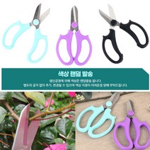전지 분재 꽃꽂이가위 나무 가지치기작업 정원 조경 꽃가위 조경가위 원예용가위 세지가위 절단가위, 색상:단일색상|사이즈:기본