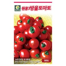 더존 복수박 씨앗 10립 - 수박씨 복수박씨 꿀수박 야채씨앗 채소씨앗 채소재배 종묘 종자 베란다 텃밭 씨 씨앗 오이 호박 방울토마토 참, 15_다농_원홍3호 방울토마토(50립)