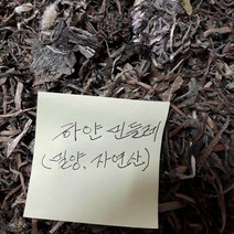 뿌리채 넣은 순수 흰민들레즙 110ml, 100팩