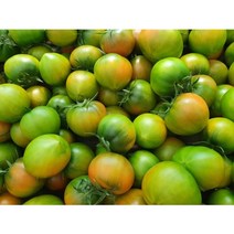 대저 짭짤이 토마토 2.5kg, (S사이즈) 소과