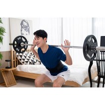 약국 허리 척추 디스크 지지대 복대 교정기 보호대 추천