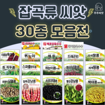 콩 옥수수 씨앗 강낭콩 작두콩 서리태 호랑이콩 종자 백태 땅콩 율무 녹두 팥 완두콩 씨, 27. 녹두콩 30g