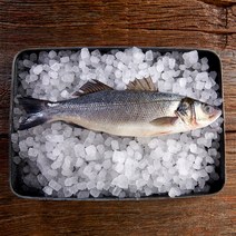 바다소리 남해안 자연산 손질 민어 5미 (1.5kg), 민어(36cm내외) 5미