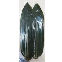 대나무잎 사사노하 일본식자재 에다나시 (100장X1개) 신쿠, 1