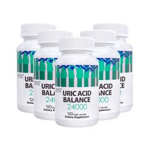 이노핼스엔케어 요산 밸런스 24000 120캡슐 요산배출 통풍에좋은 샐러리 씨앗, 2개 (-할인), 2개